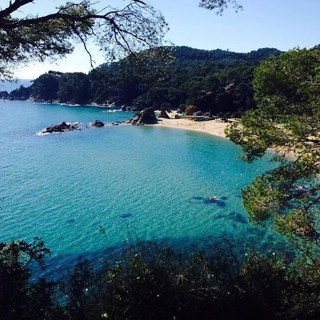 Appartements Les Pesquiers Hyeres Plage Exterior foto